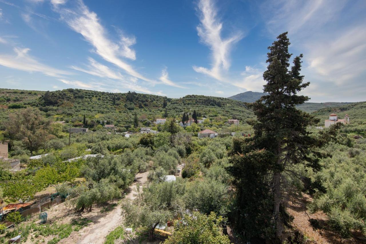 Hébergement de vacances Achilleas Deluxe αpartment -pet Friendly-parking-mountain View *