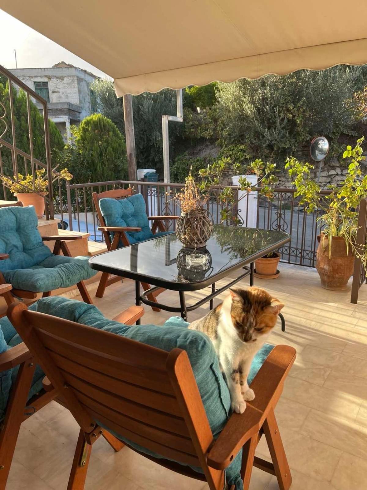 Hébergement de vacances Achilleas Deluxe αpartment -pet Friendly-parking-mountain View *